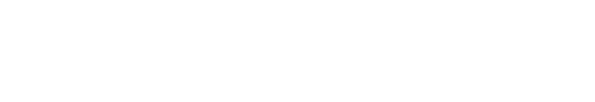 新闻网2024